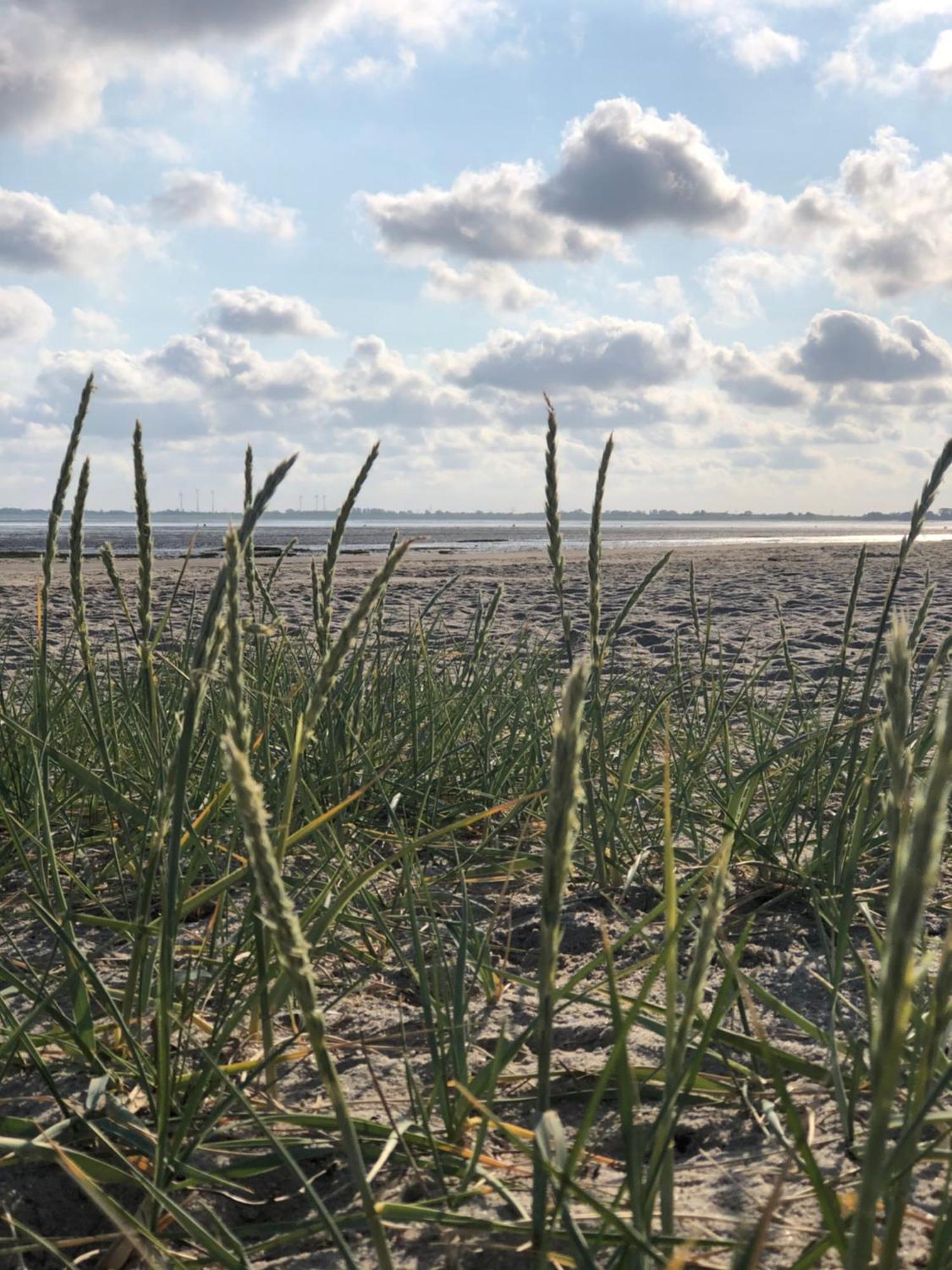Friesenbude Fokko Varel Esterno foto